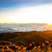 Reaching the Summit of Mt. Pulag